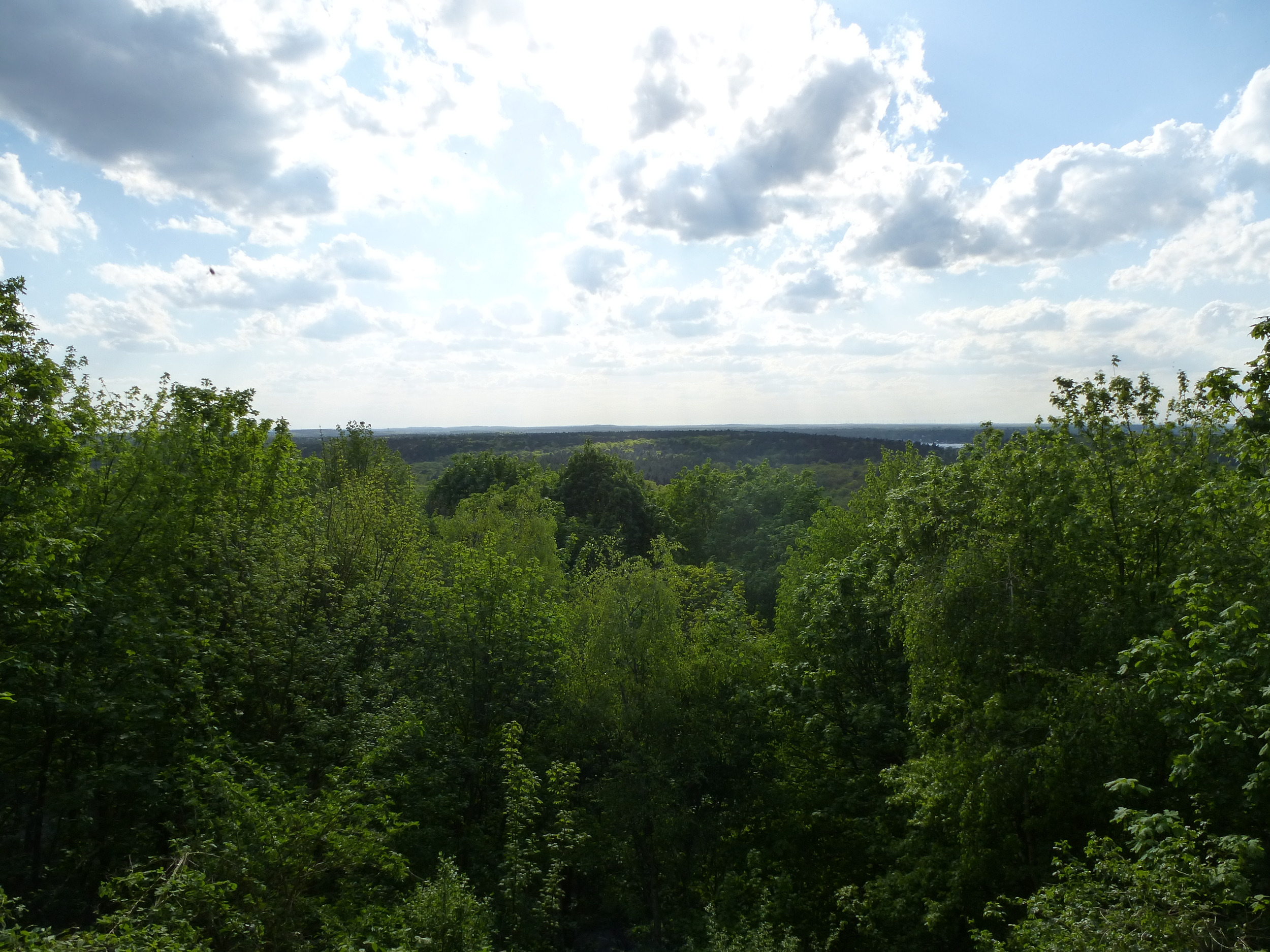 the view from the listening station