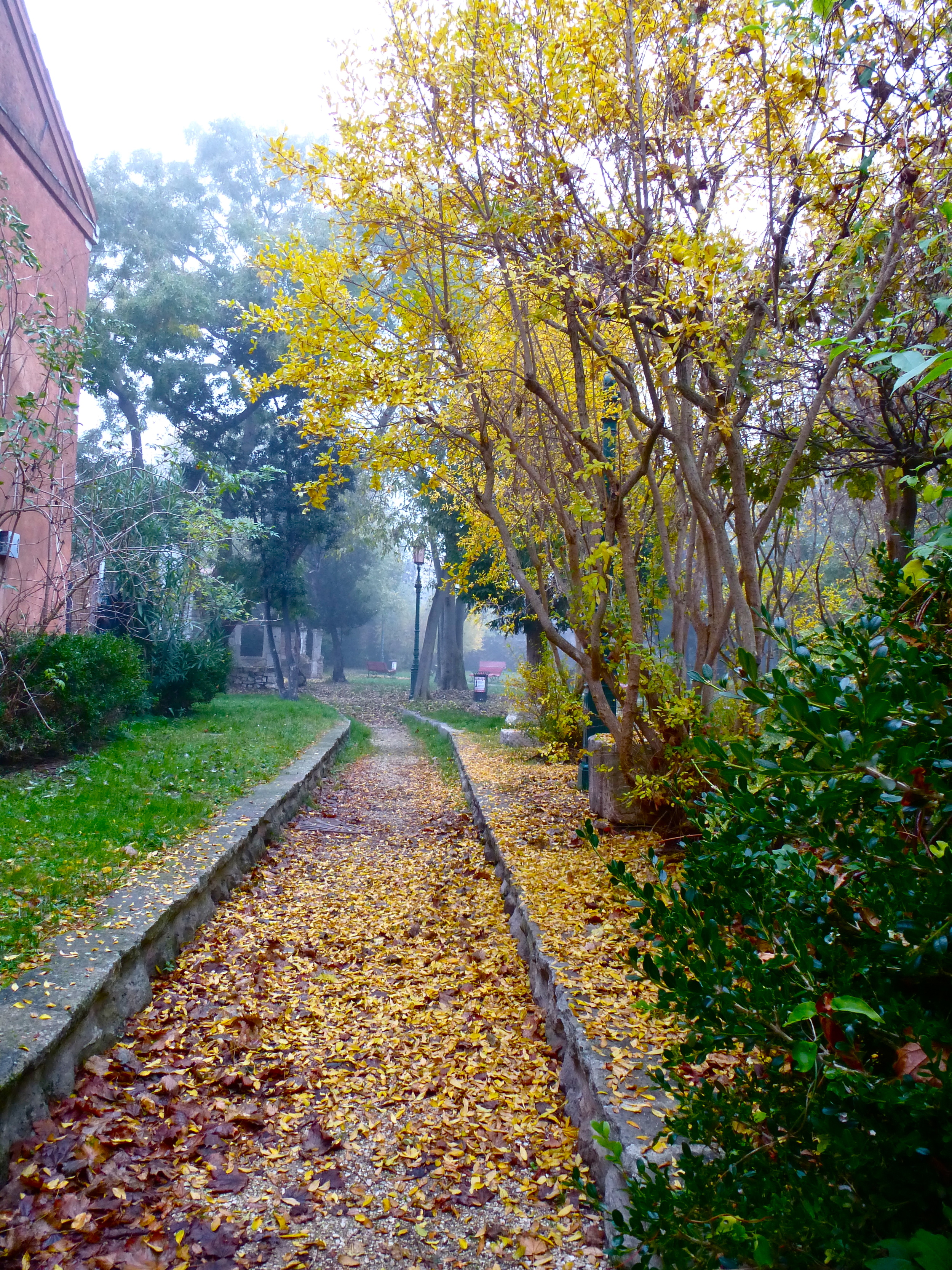 The garden at Carnereggio
