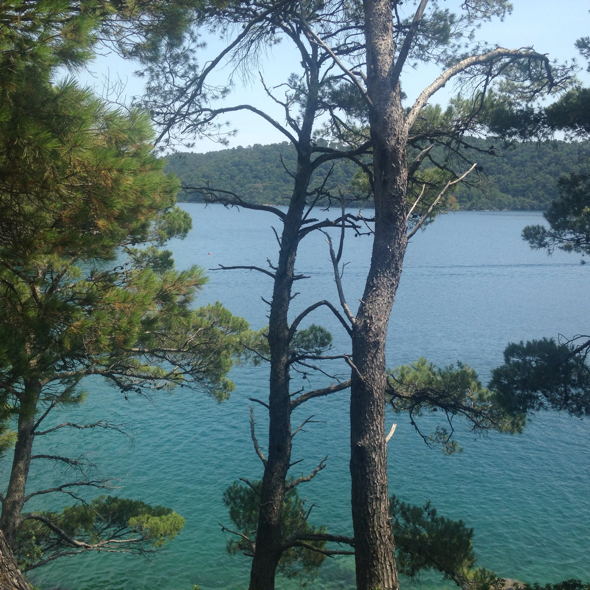 Velico jezero