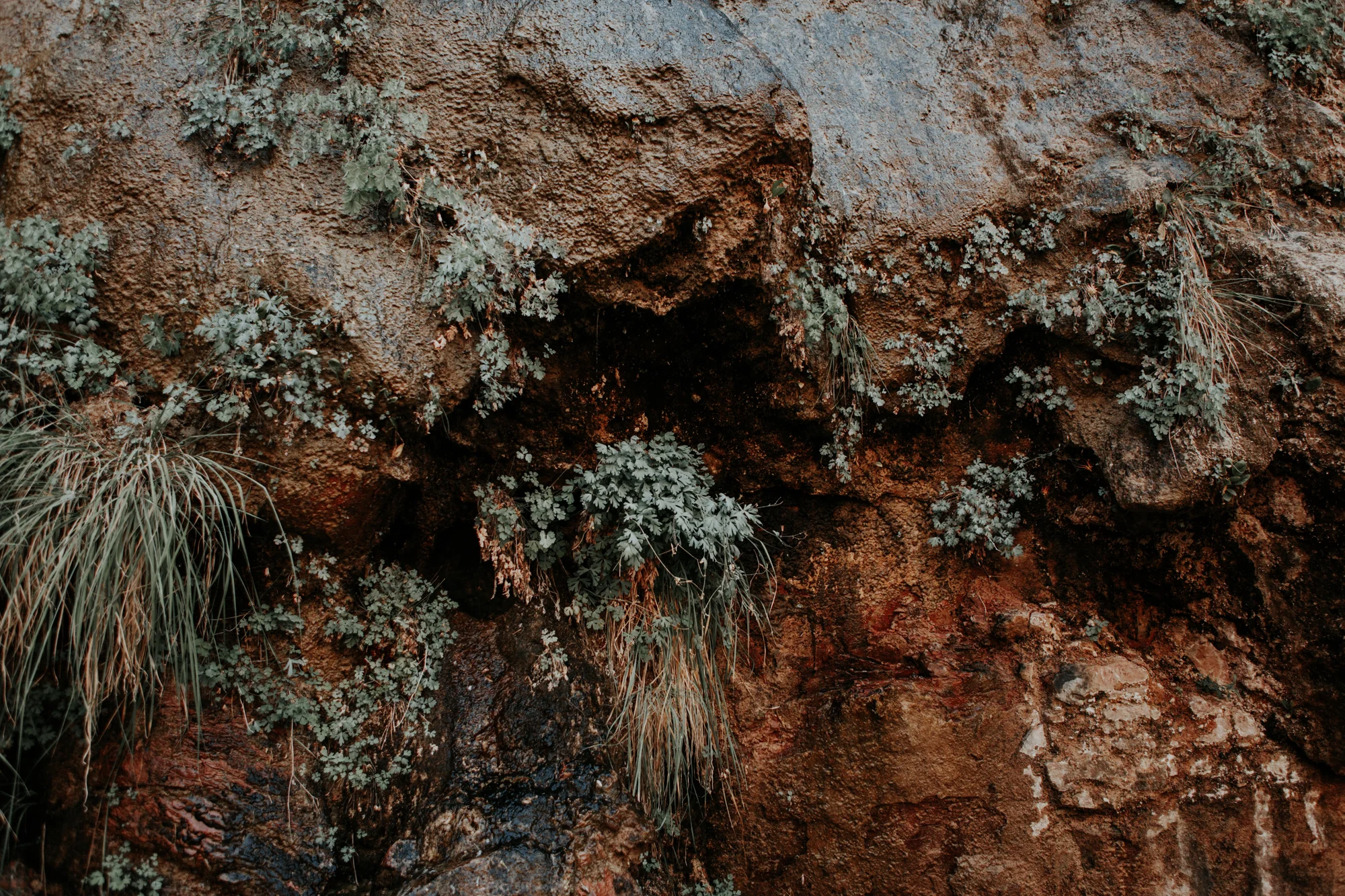 zion_np-5.jpg