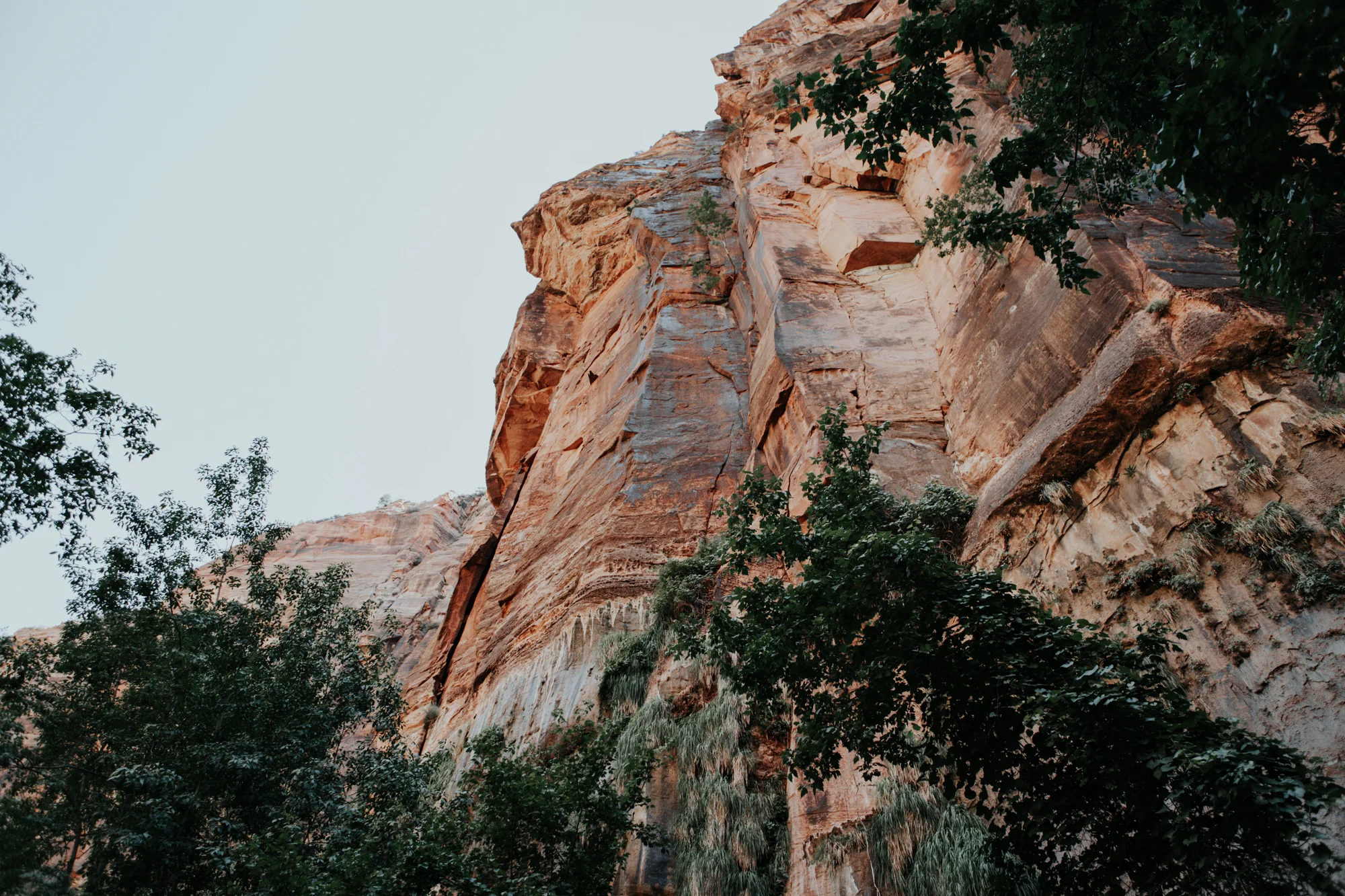 zion_np-3.jpg