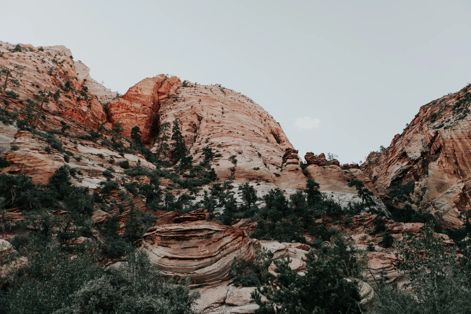 zion_np-10.jpg