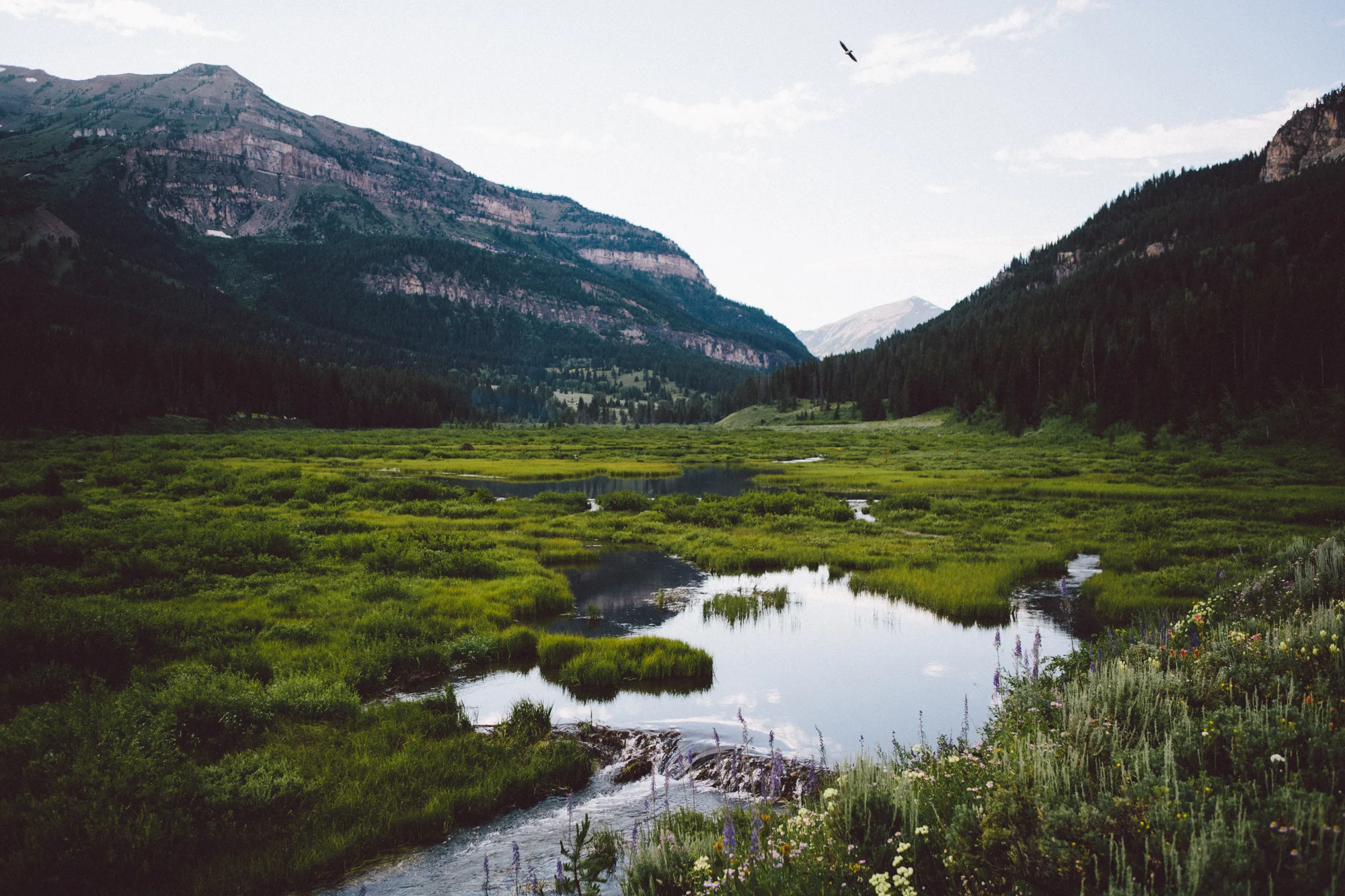 granite_creek_bullwinkle-17.jpg