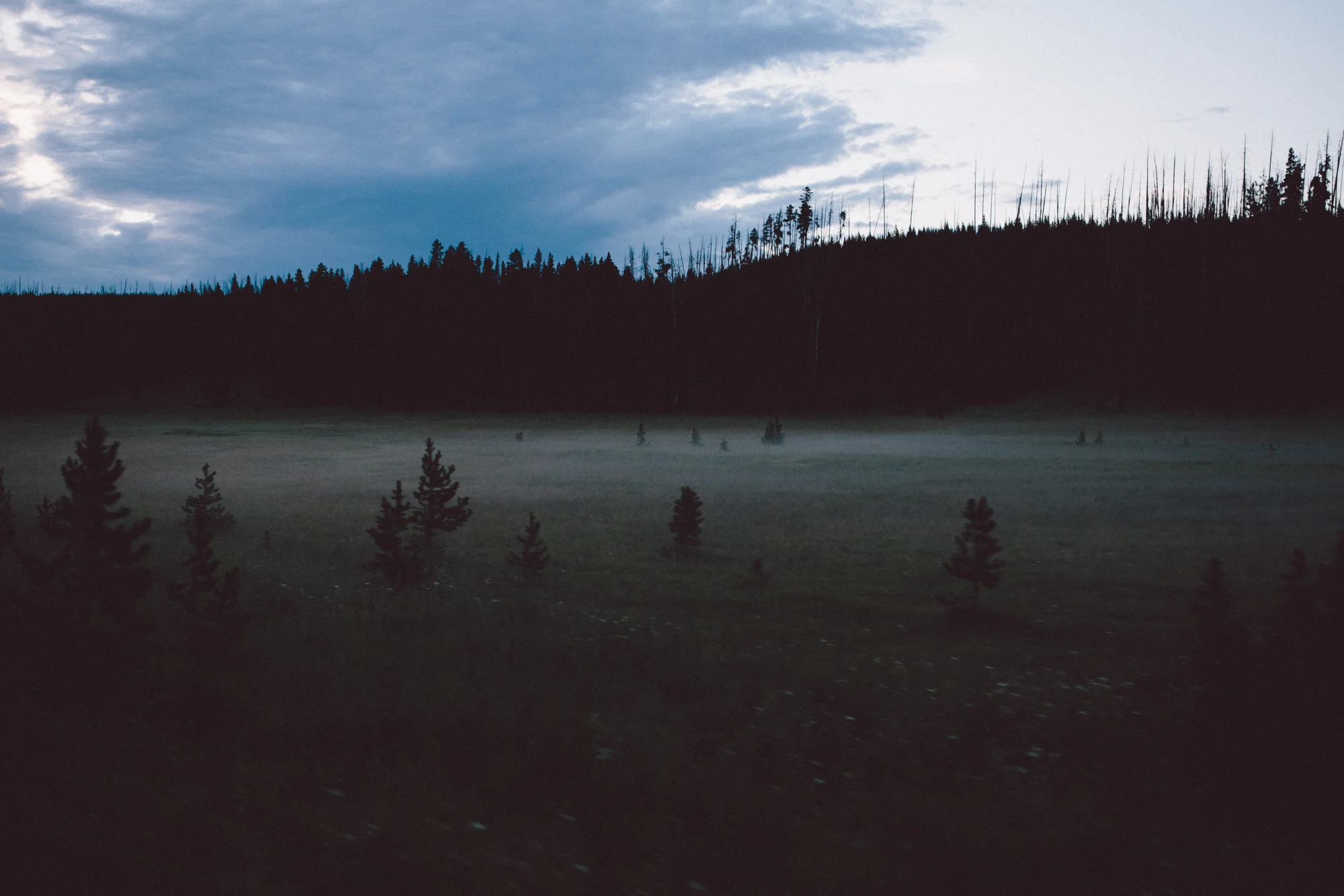 foggy_yellowstone-1.jpg