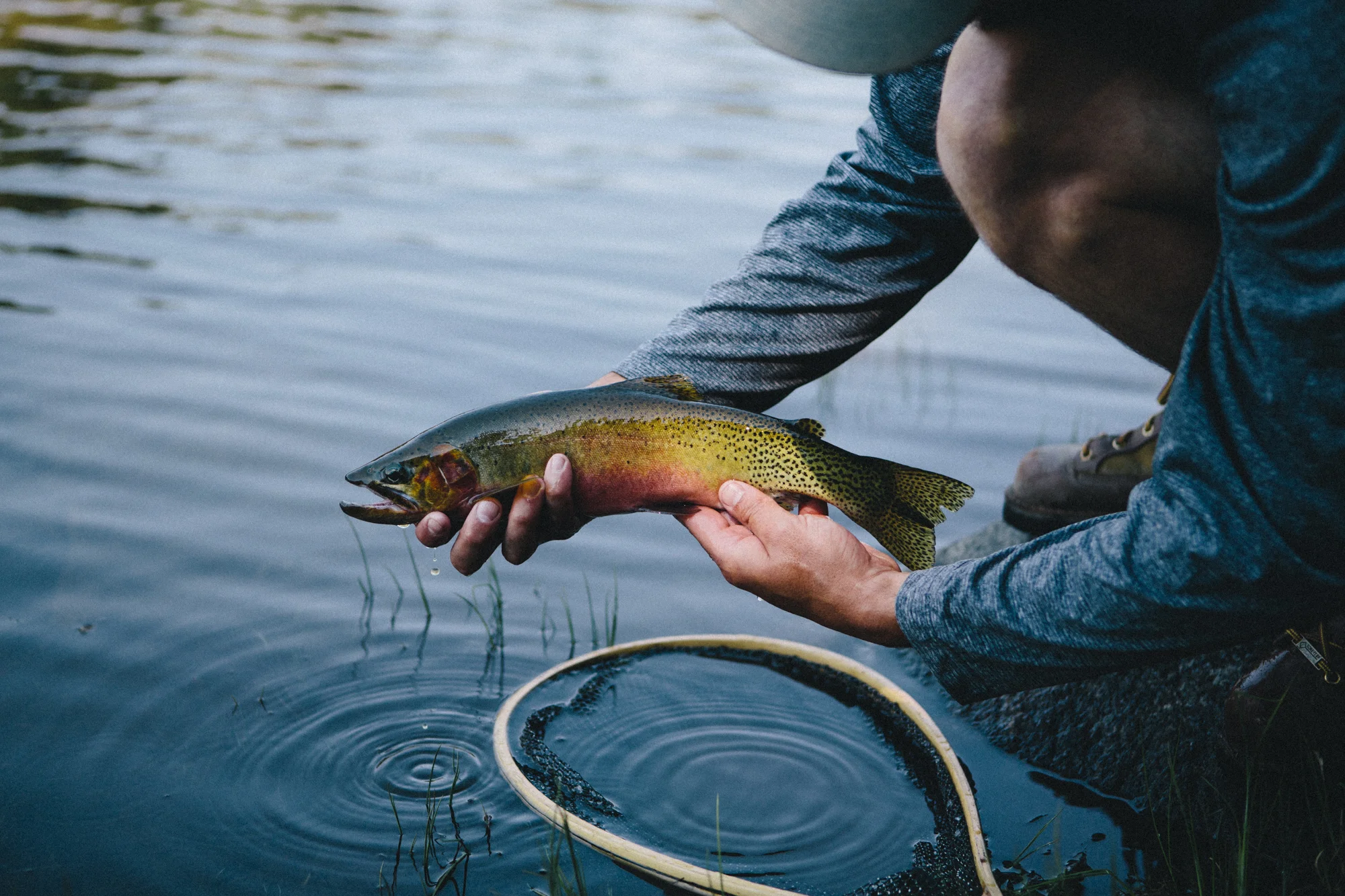 chase_cutthroat_louie_lake-1.jpg