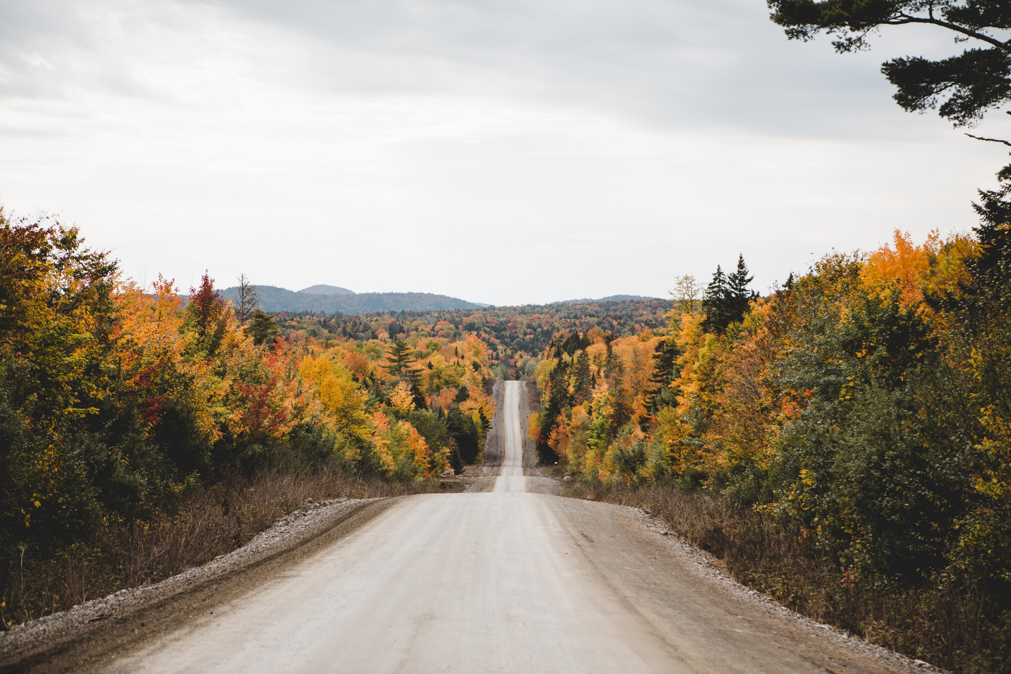 For Wild's Sake : Chapter One : Into The North Woods