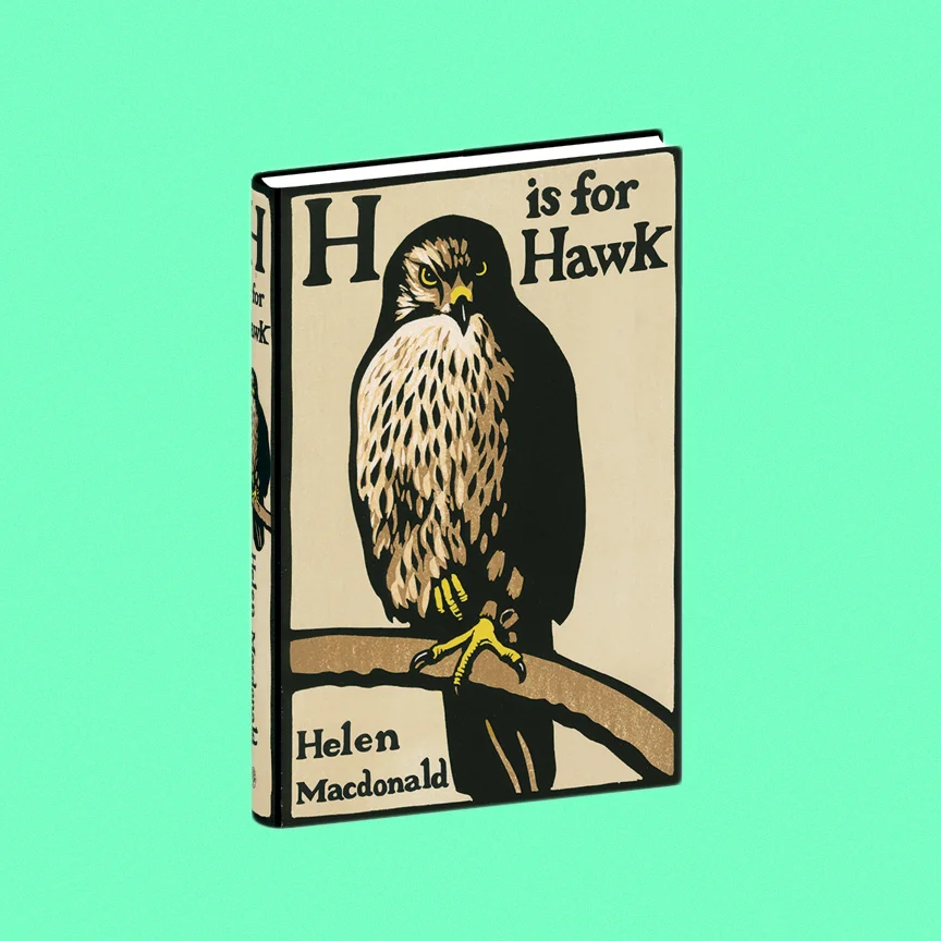 hawk.jpg
