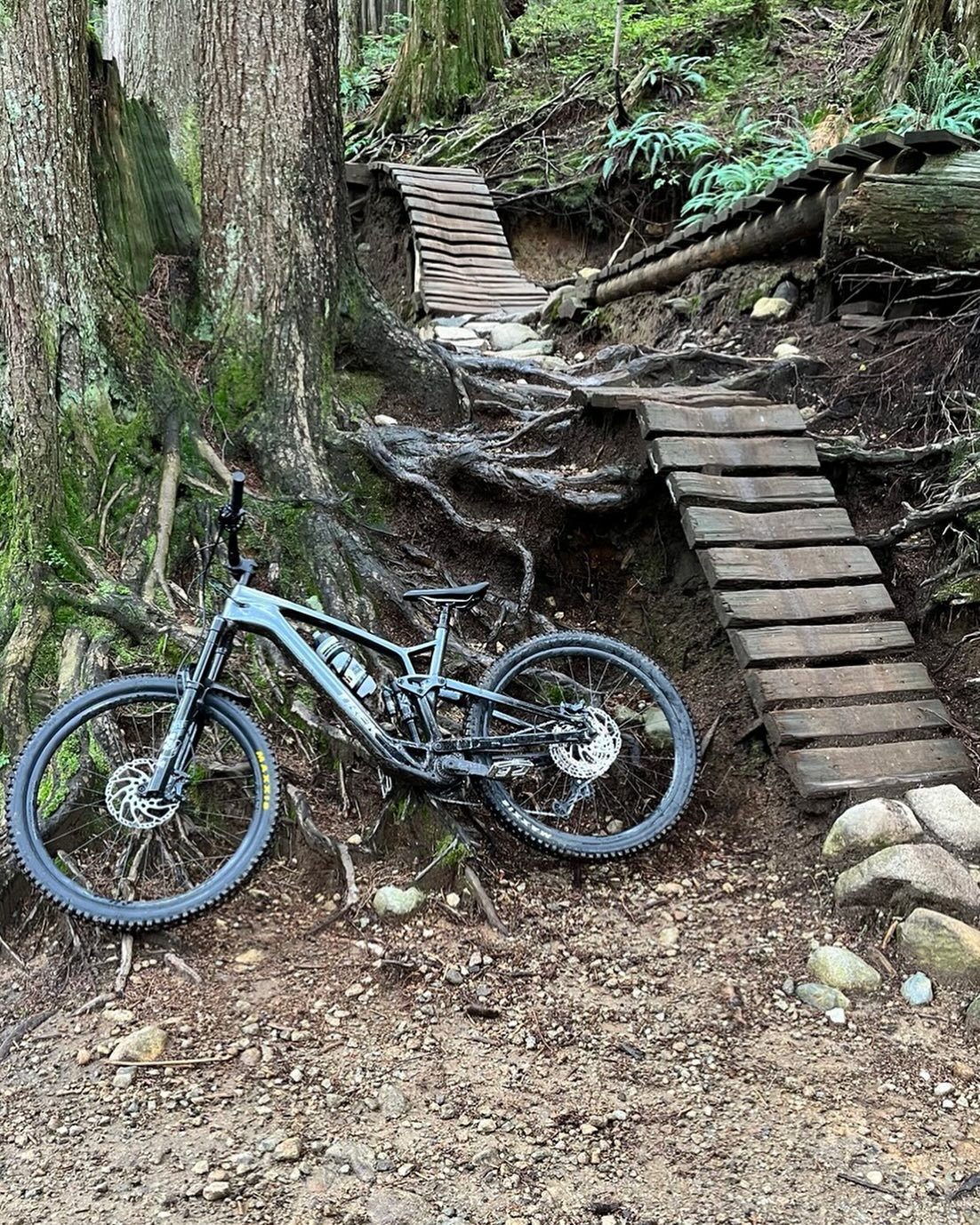 Fun fact: I chickened out of riding the extremely slippery woodwork at the bottom of Crinkum Crankum. 

Other fun fact: I haven&rsquo;t ridden that woodwork even when the weather is perfect. 

Other other fun fact: I&rsquo;m pretty cautious.
