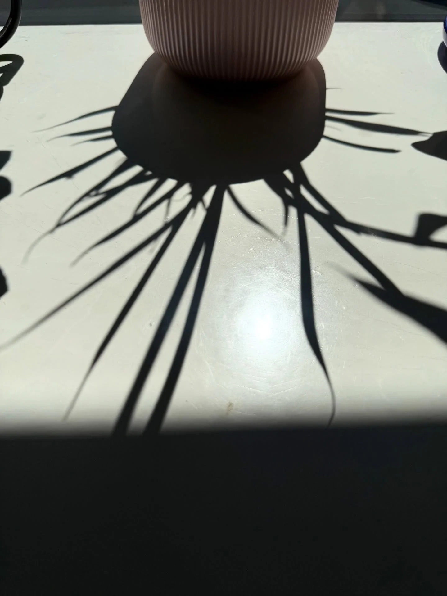 Still love shadows π²
And stuff thrown in weird places π
And cool façades π’
And shapes π 
Even if I’m not open on Sundays π€·πΌ‍βοΈ
I love a beet-pepperoni pizza π
…And a cup full of reality
But I’m always sad leaving N