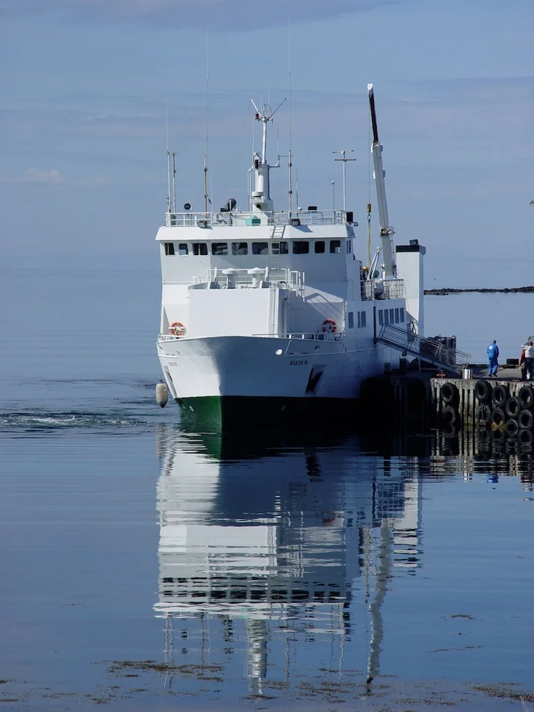 IcelandT - 131.jpg