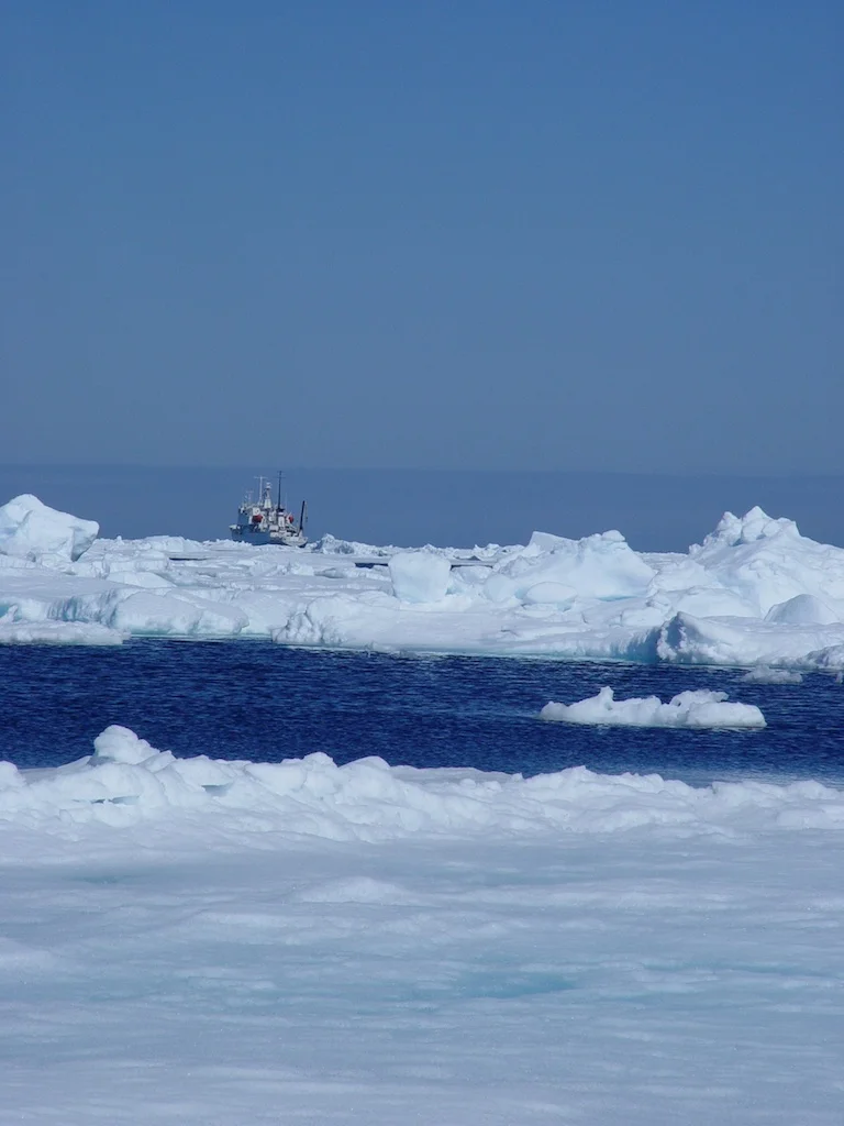 IcelandT - 241.jpg