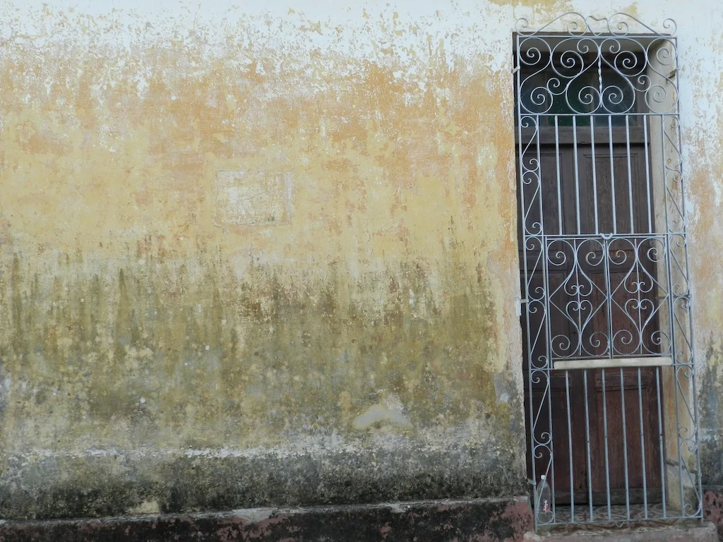 DSCN0514.jpg