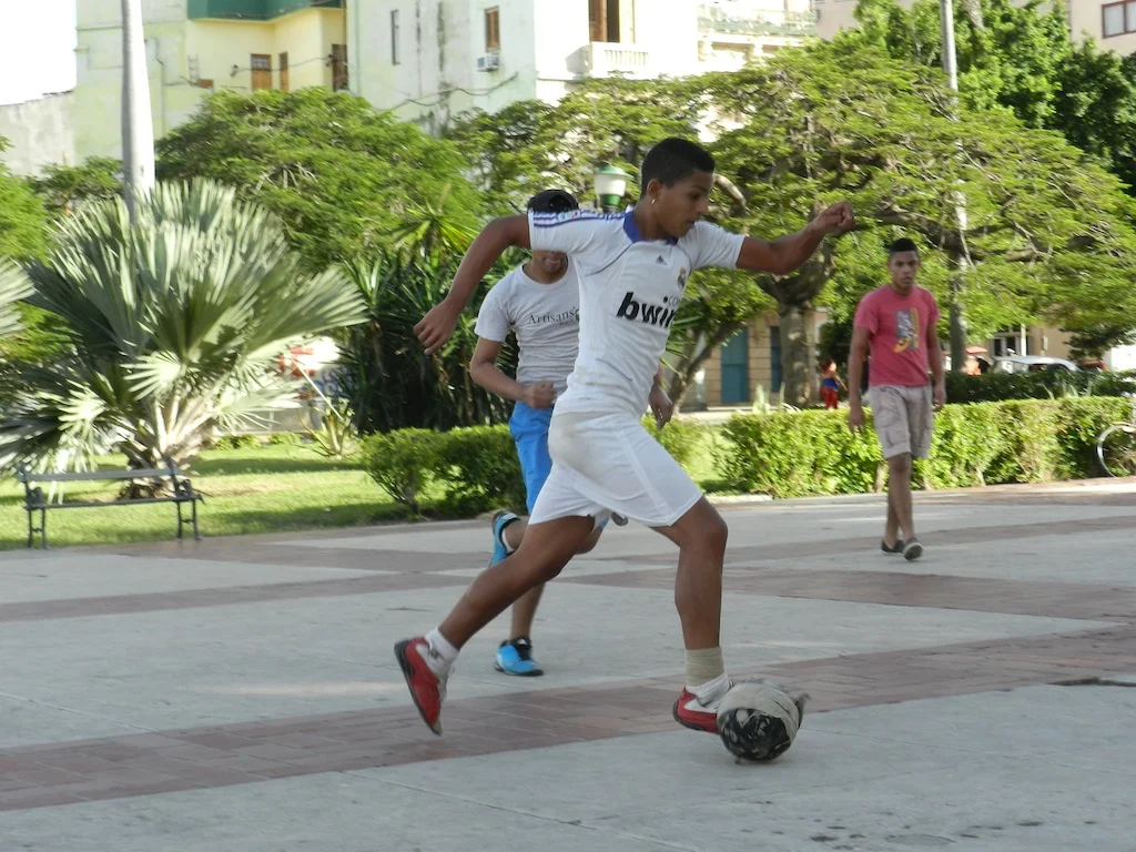 DSCN0729.jpg