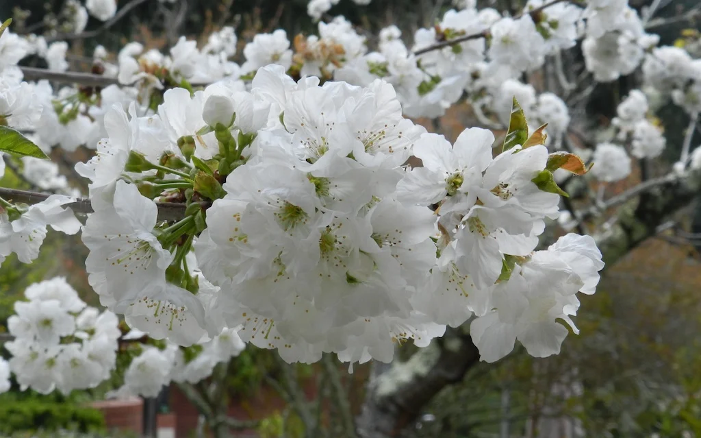 DSCN2392.jpg