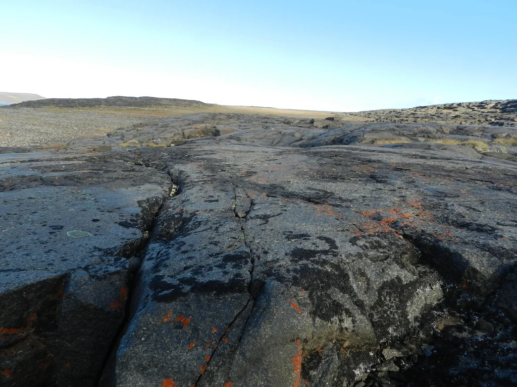 DSCN4095.jpg