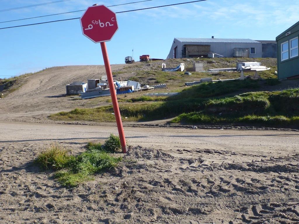 P1010370.jpg