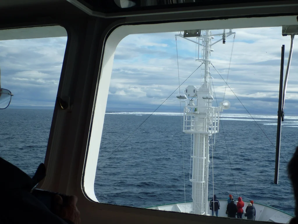 P1010644.jpg