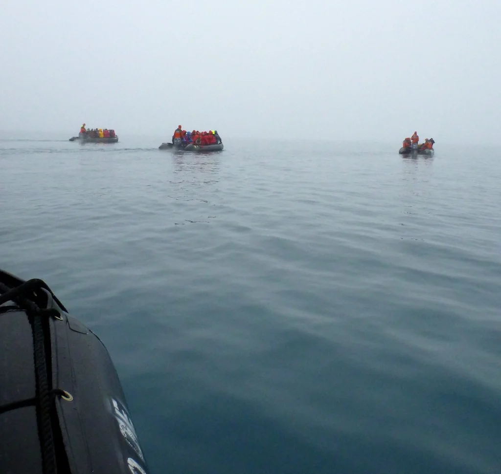 P1010651.jpg