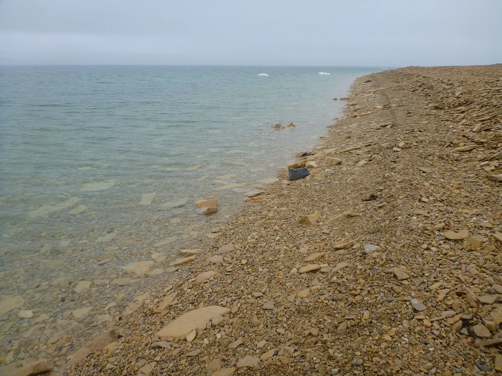 P1010704.jpg