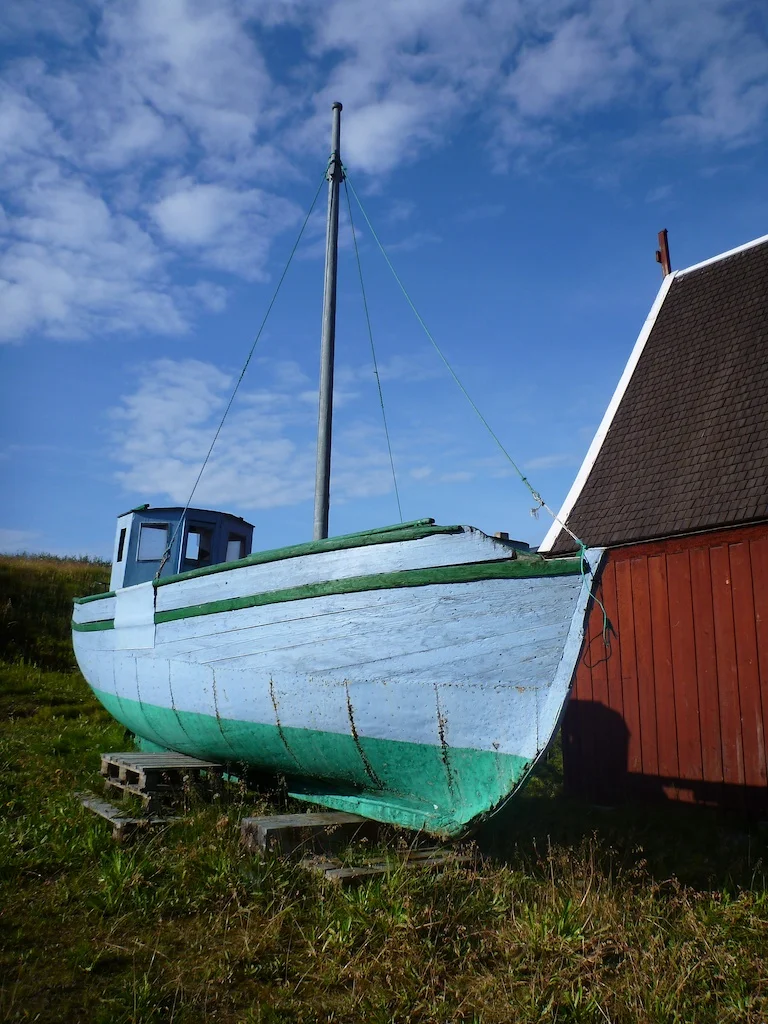P1000917.jpg