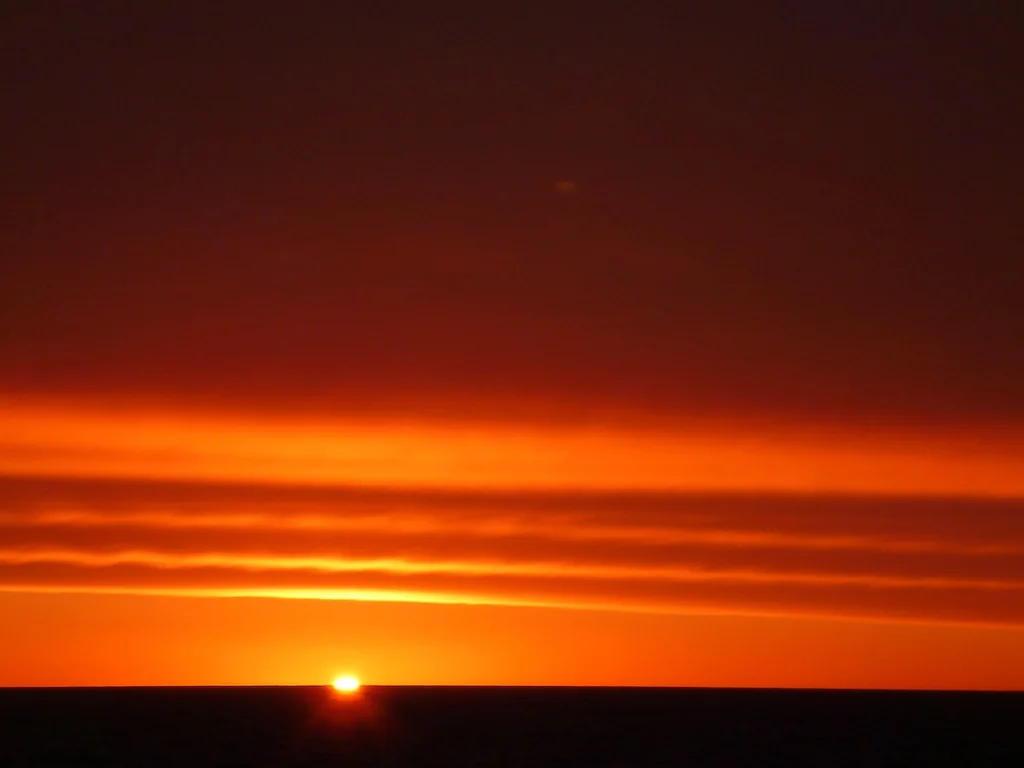 P1010231.jpg