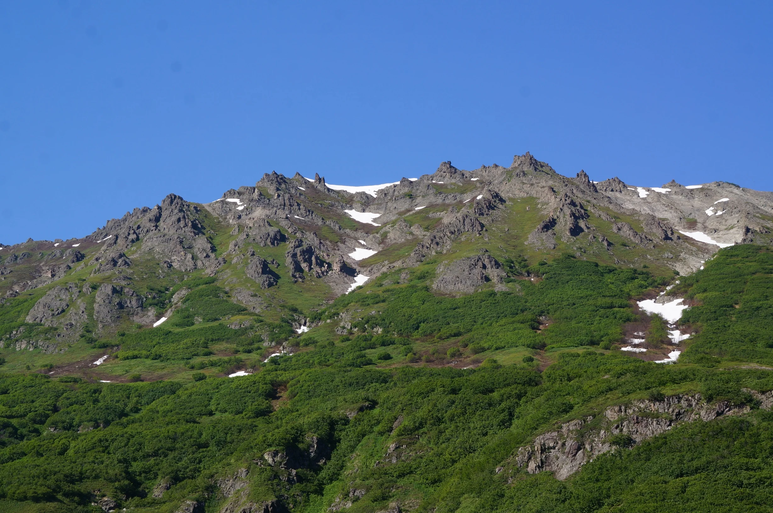 DSC03616.jpg