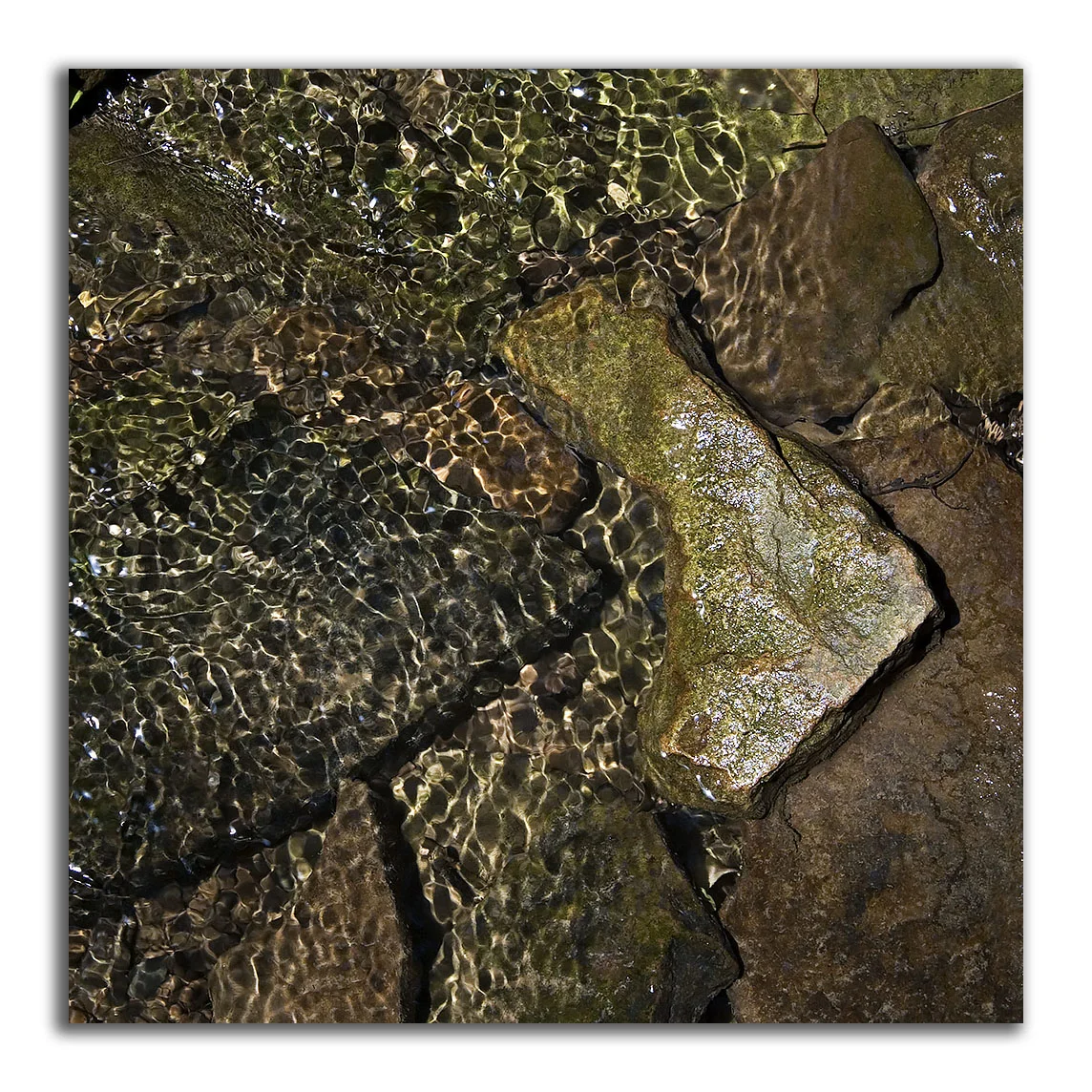 Creek Bed Abstract #56