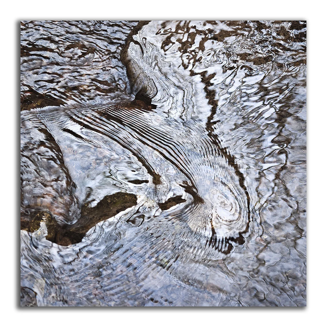 Creek Bed Abstract #70 - Swan Song