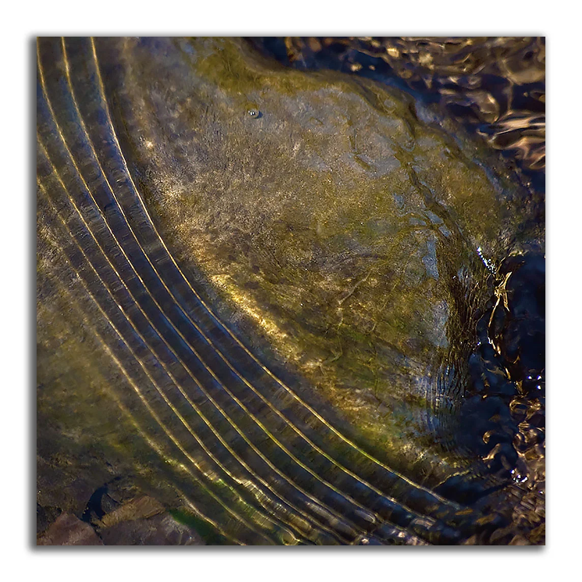 Creek Bed Abstract #71 - Nazca Lines