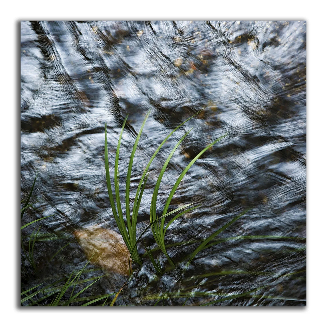 Creek Bed Abstract #47