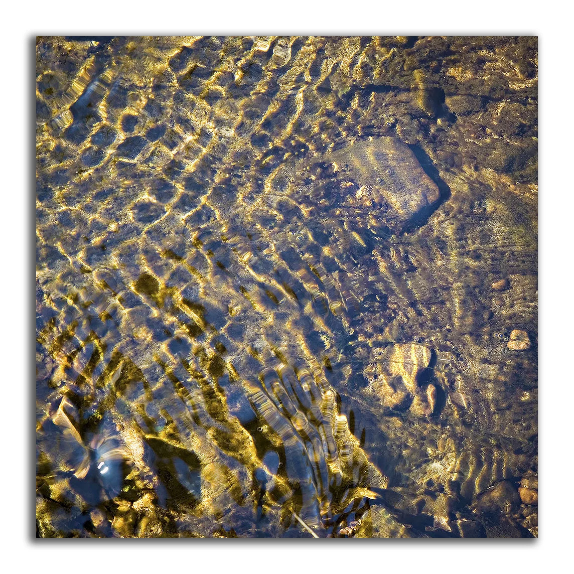 Creek Bed Abstract #43 - On Golden Pond