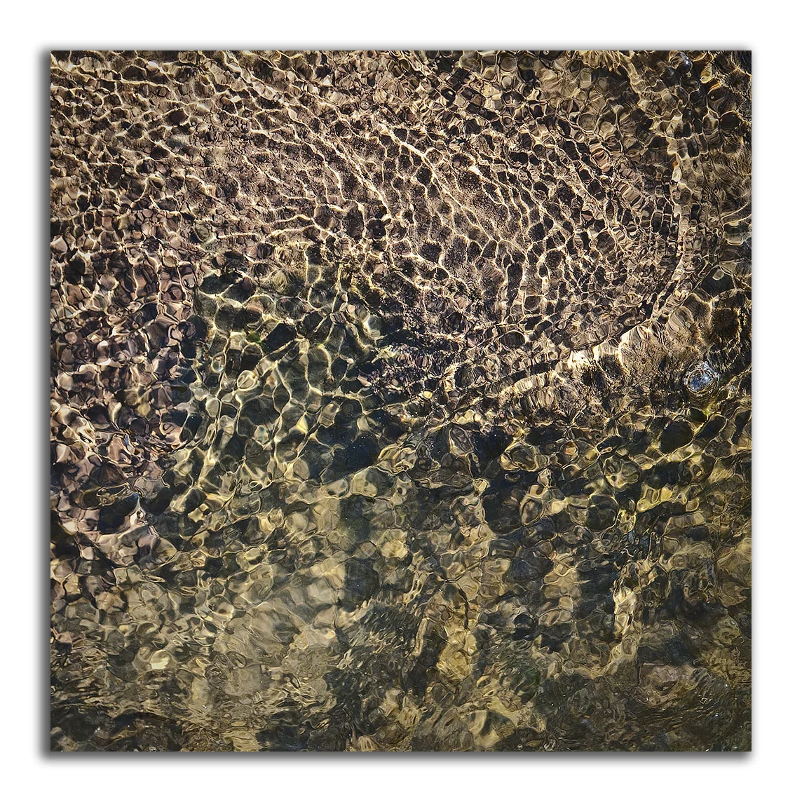 Creek Bed Abstract #66 - Leopard Skin