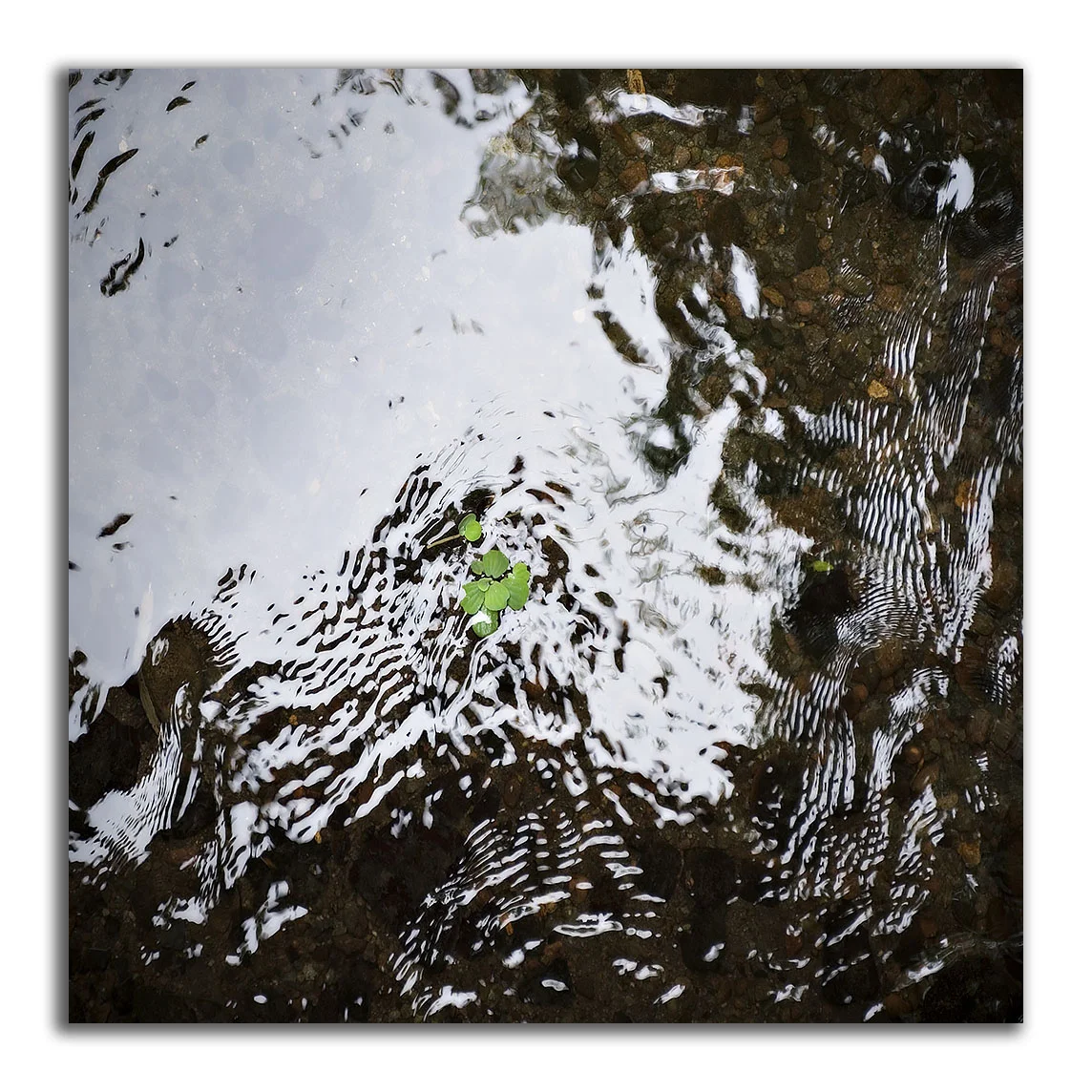 Creek Bed Abstract #46 - Lux Aeterna