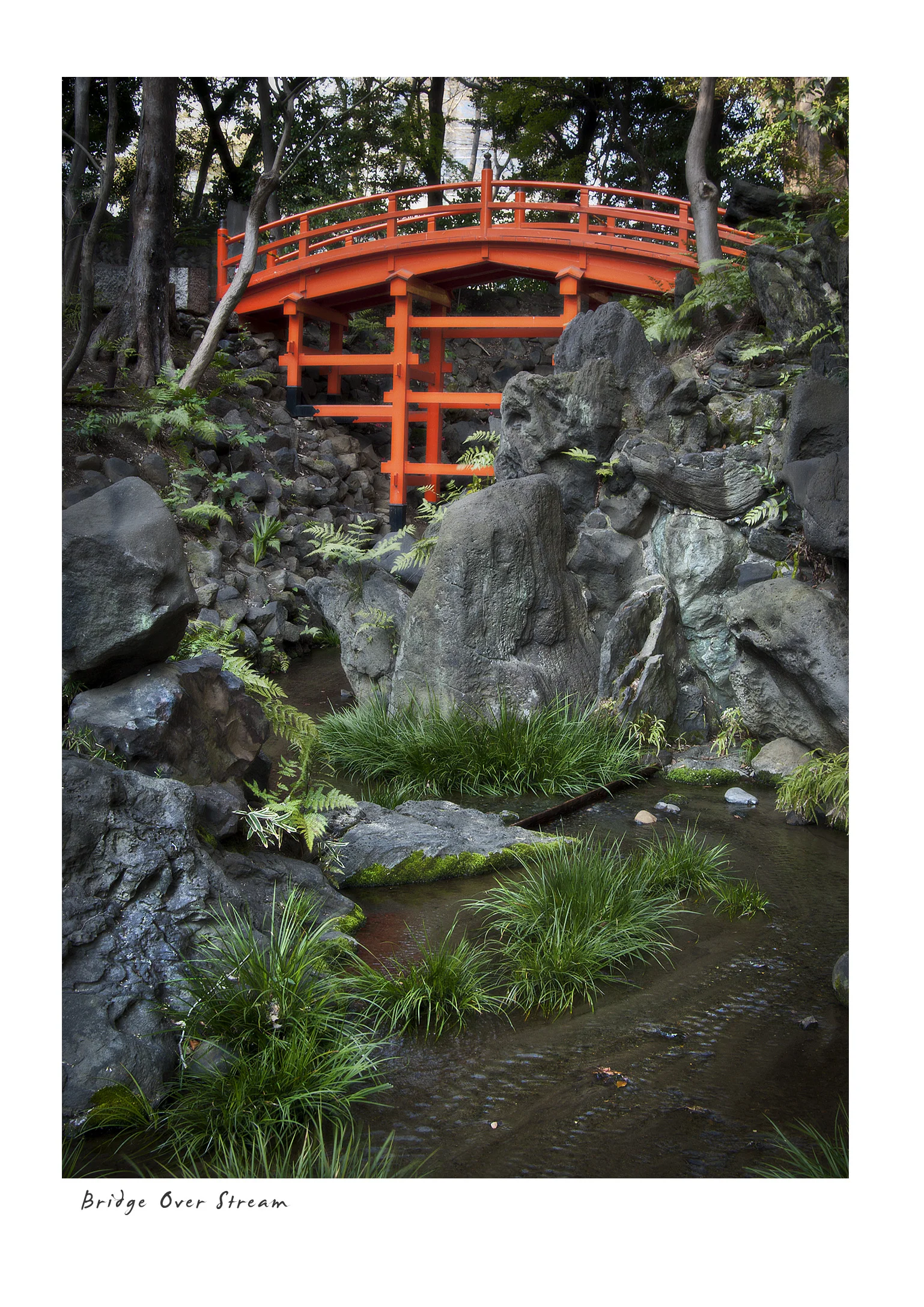 Bridge Over Stream