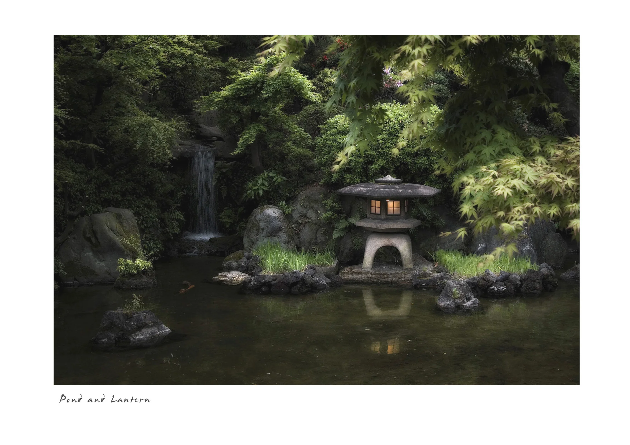 Pond and Lantern