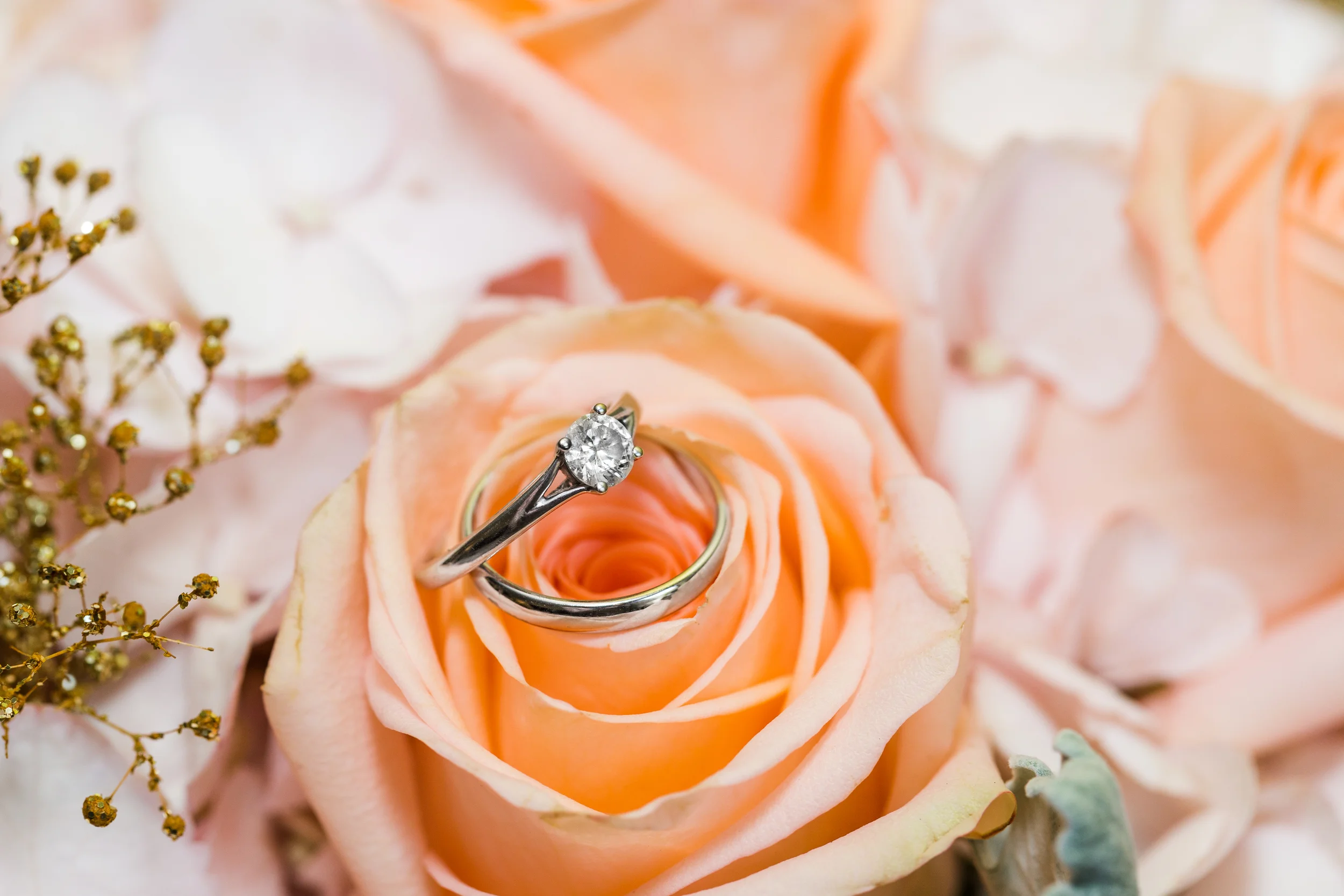 RingPhoto1.jpg