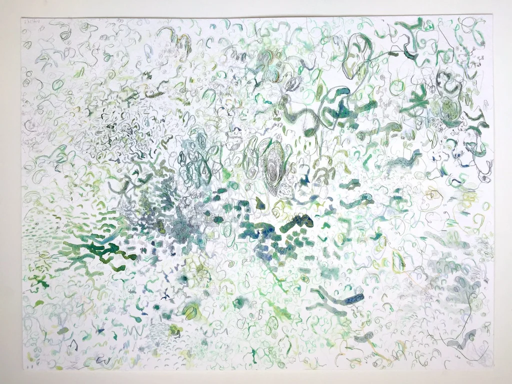 Tilden 2