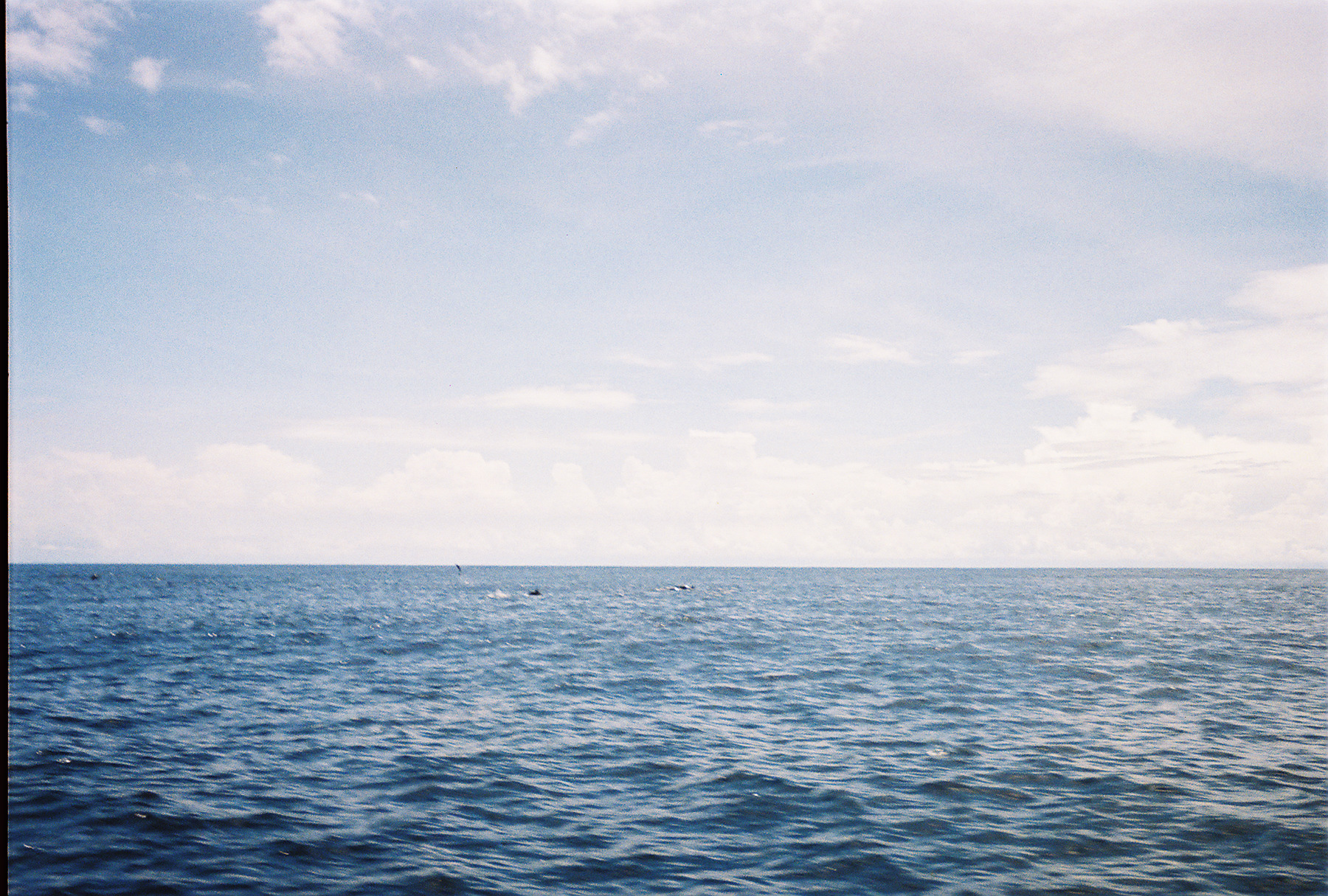 9896262-R1-040-18A.jpg