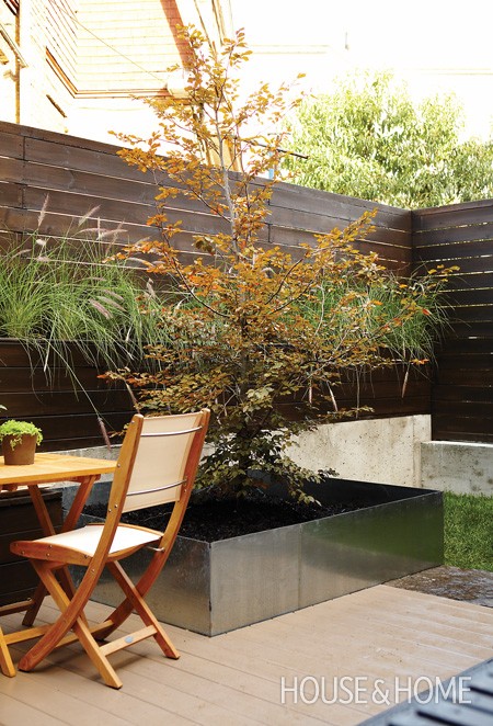 10-lisabackyardmakeover.jpg