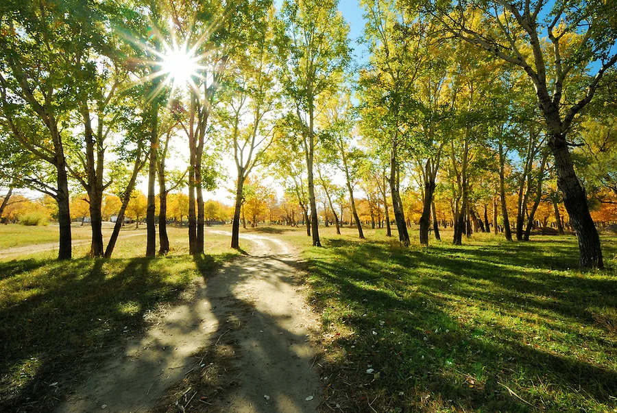 Edgar Summer Worship in the Park