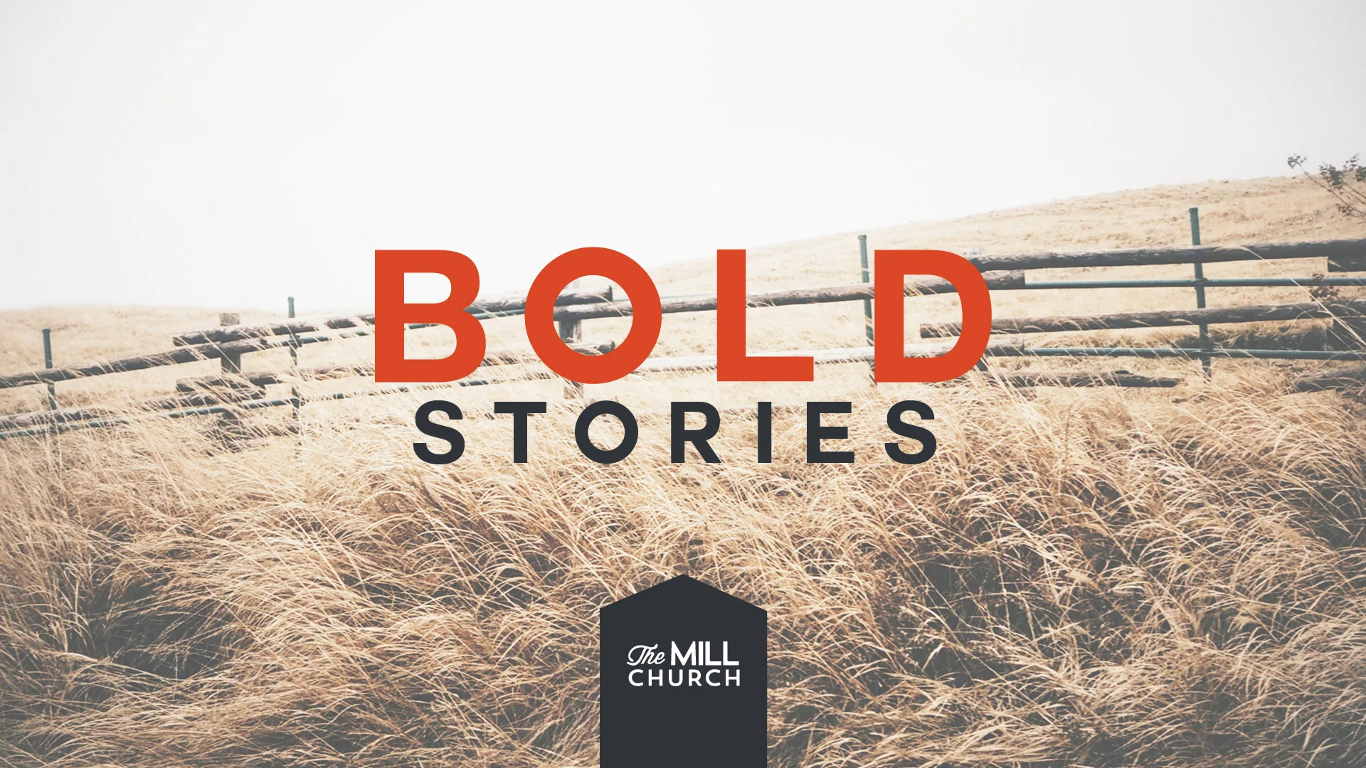 Share Your BOLD Story