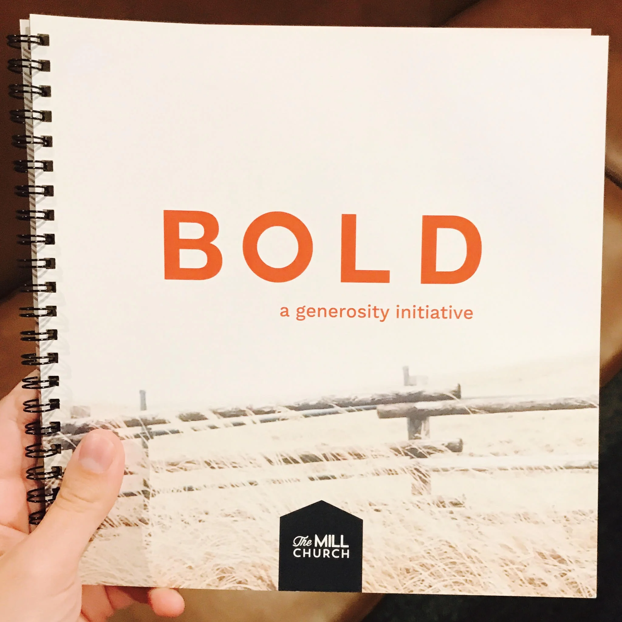 Remember Your BOLD Vision Booklet
