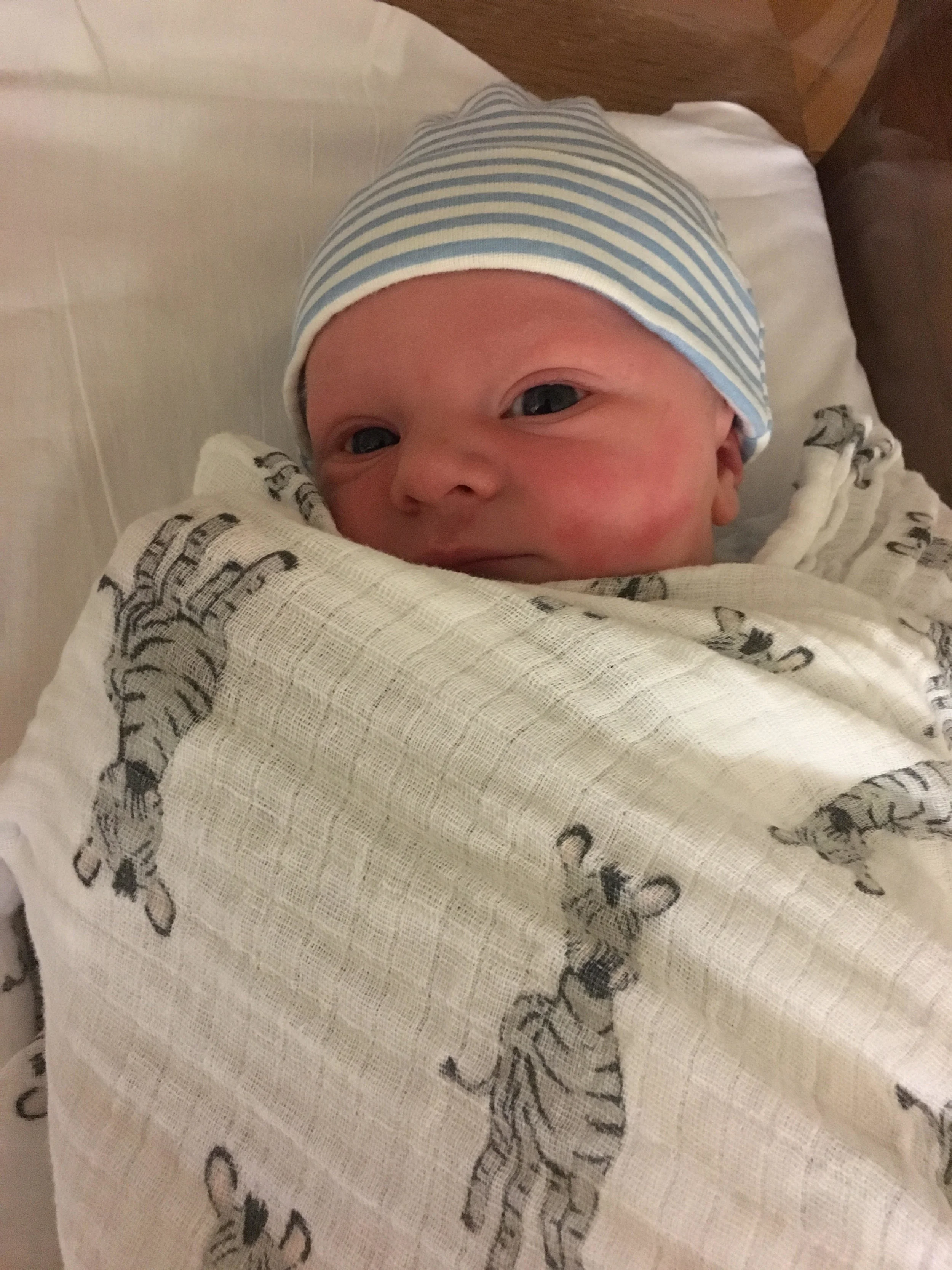 Meals for Patrick and Rachel Tarmann