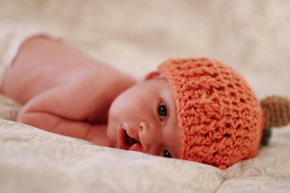 Meals for the Olli Family