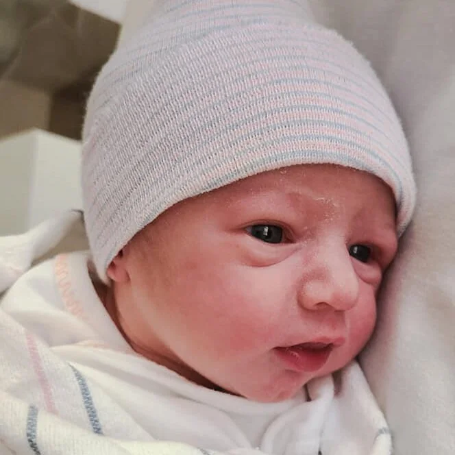 Meals for the Lehman Family