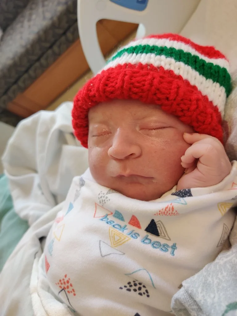 Meals for the Frei Family