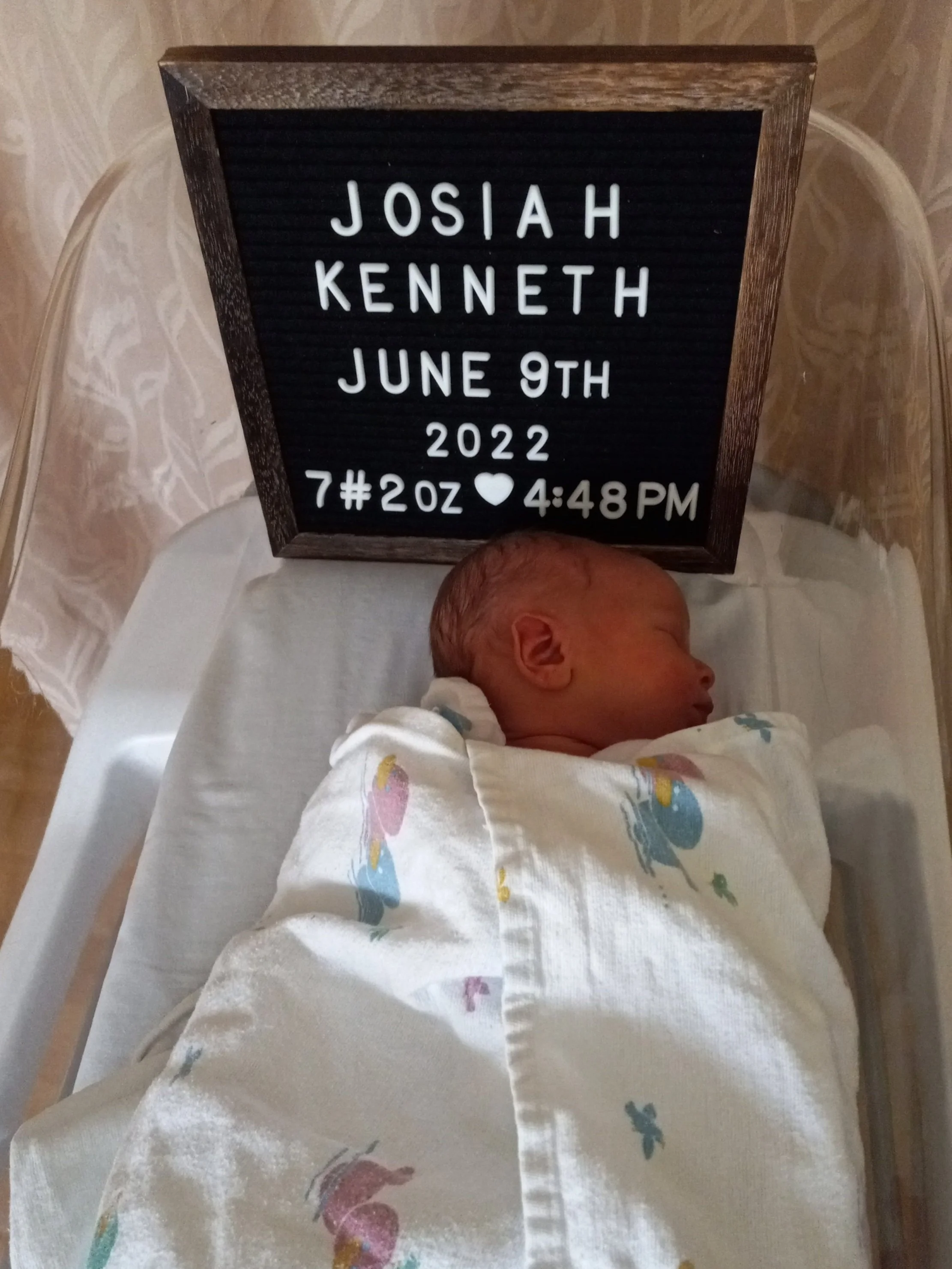 Meals for the Shanks Family