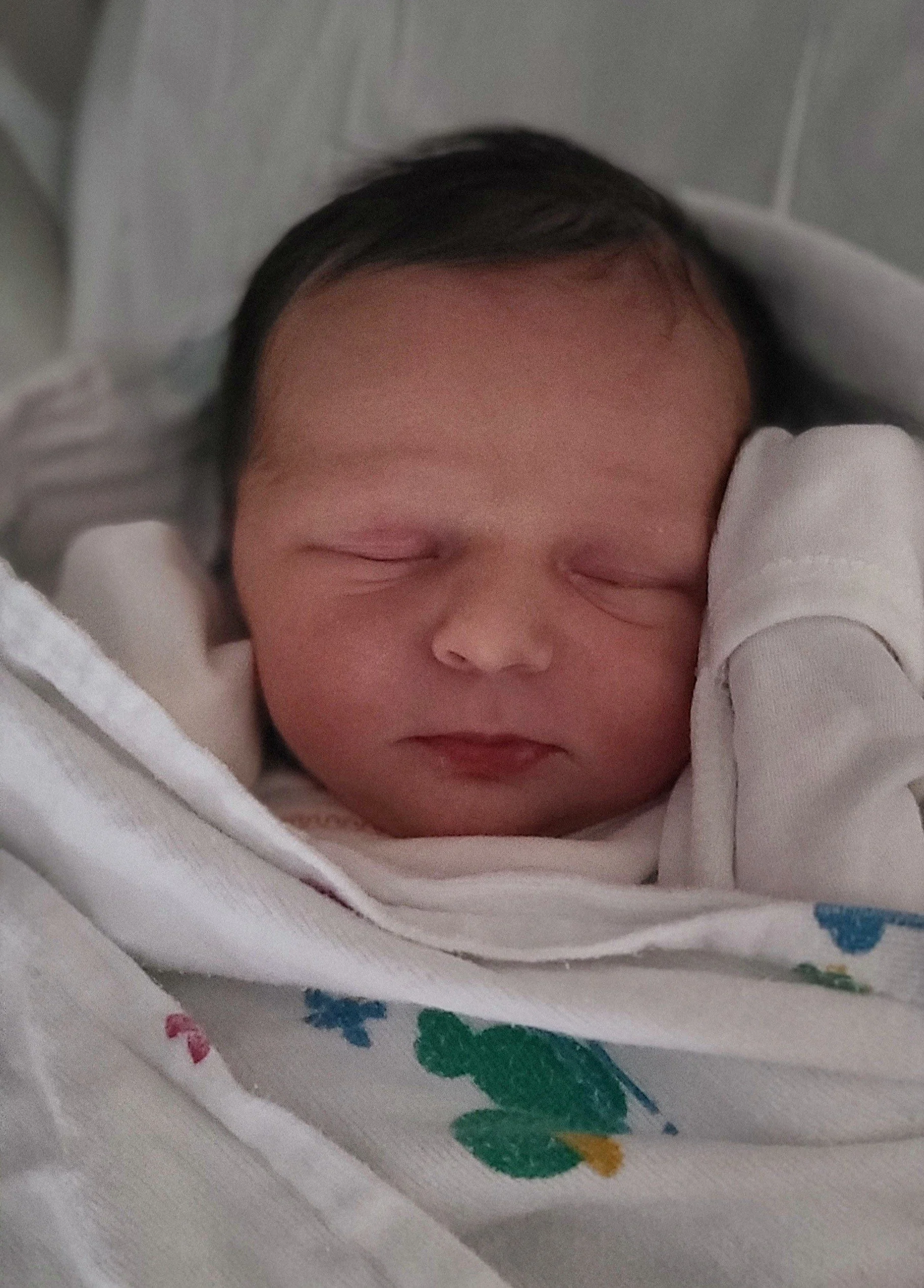 Meals for the Lehman Family