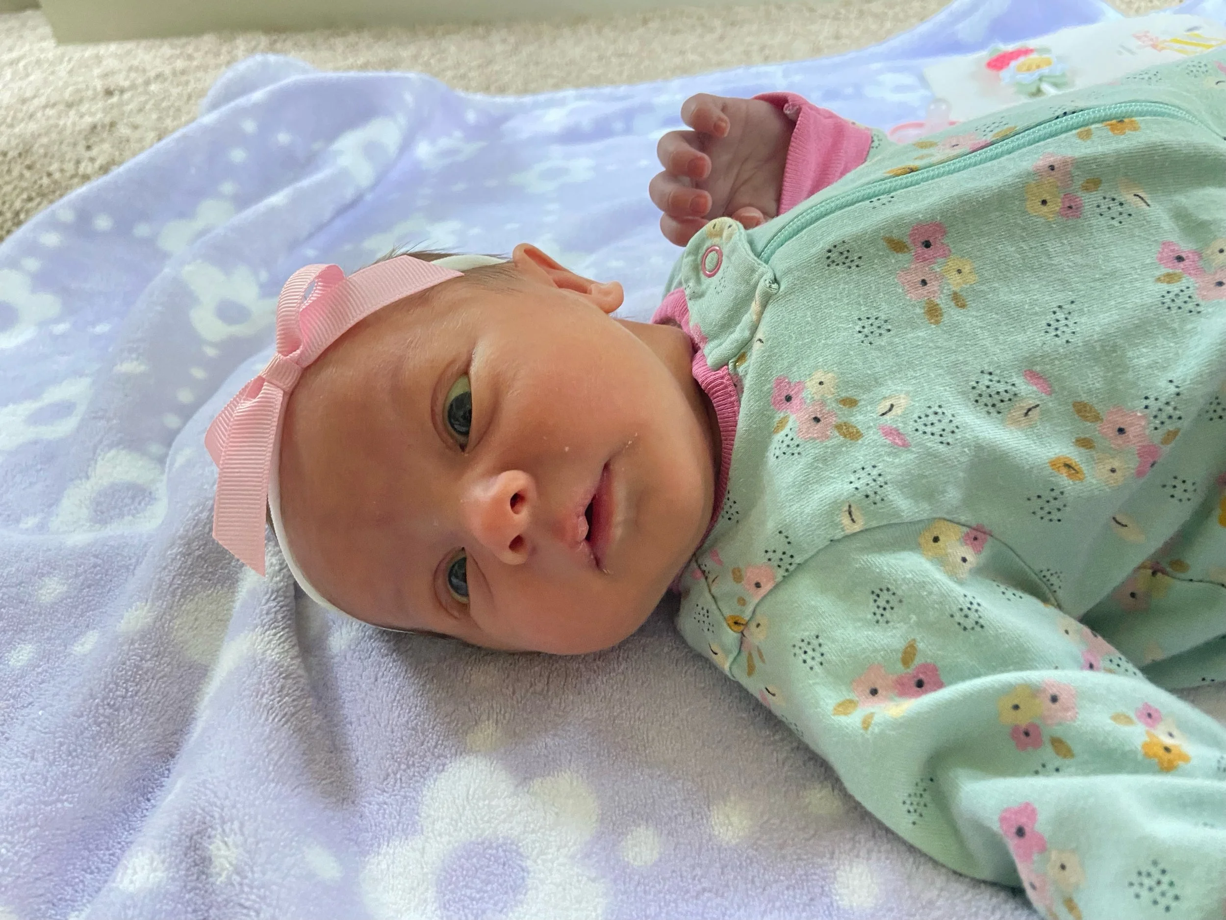 Meals for the Kafka Family