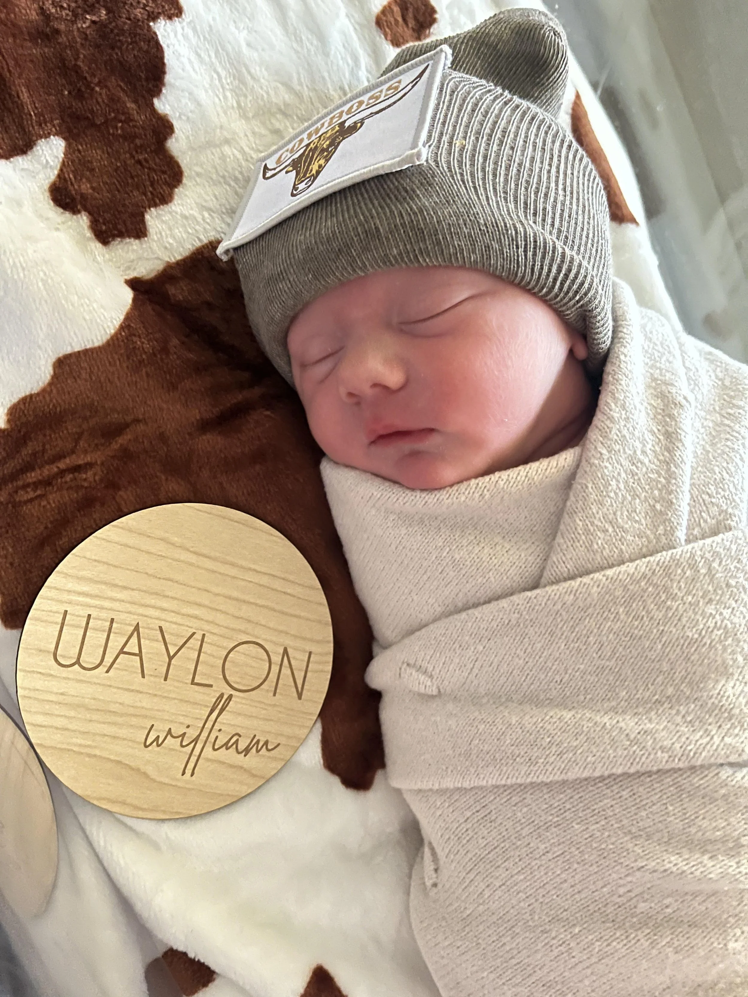 Meals for the Schuster family